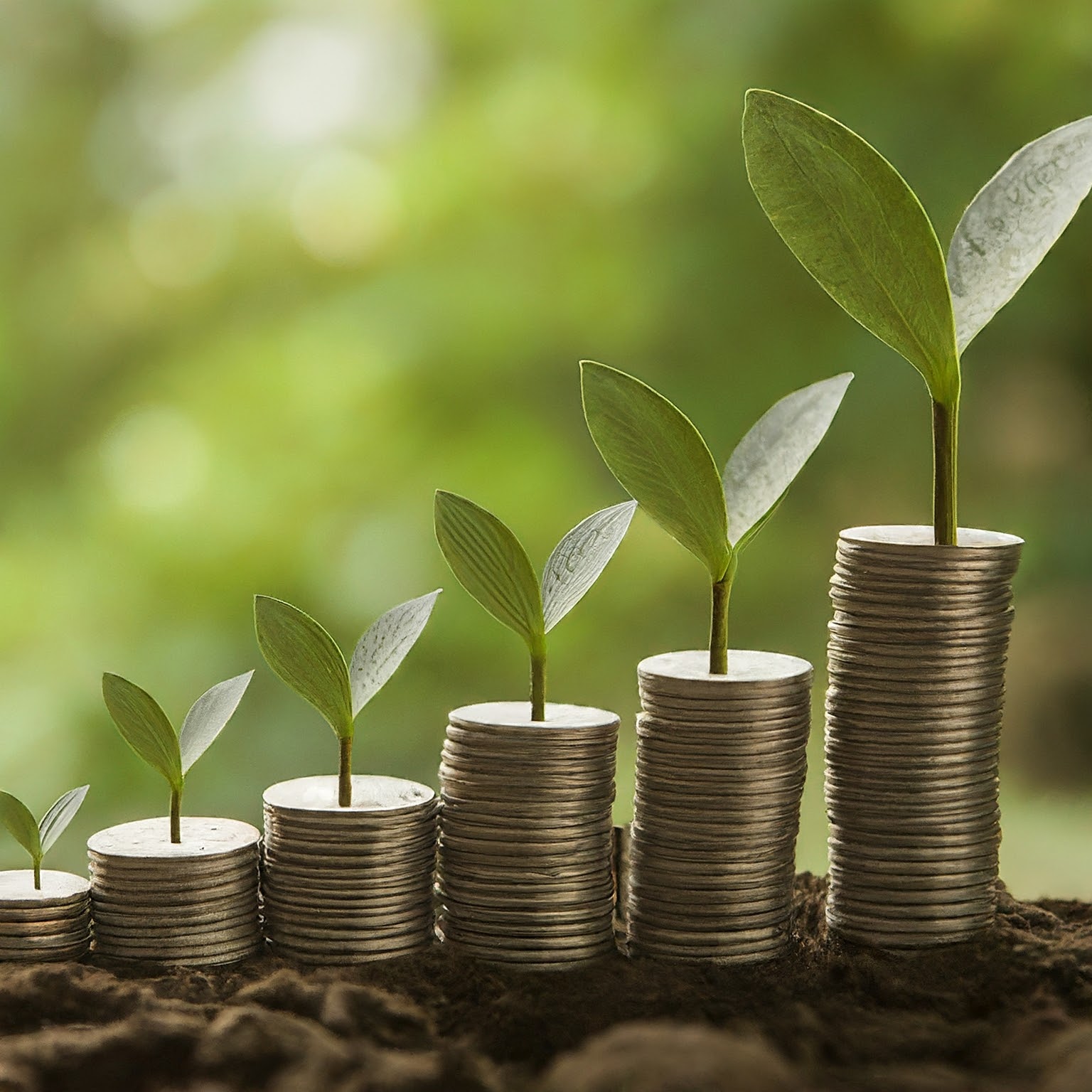 5 Essential Levers to Grow Your Money Quickly